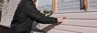 Best Insulated Siding Installation  in Red Cloud, NE